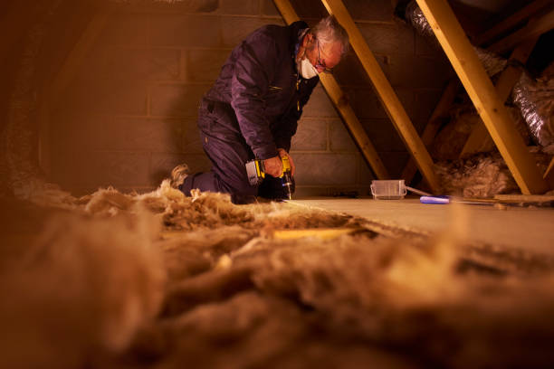 Best Eco-Friendly Insulation in Gold Bar, WA